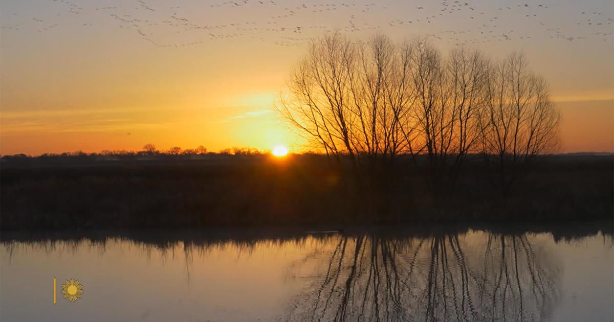 Nature: Sunrise in Texas