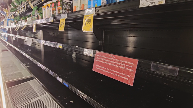 egg-law-egg-shortage-5pkg-frame-244.png 