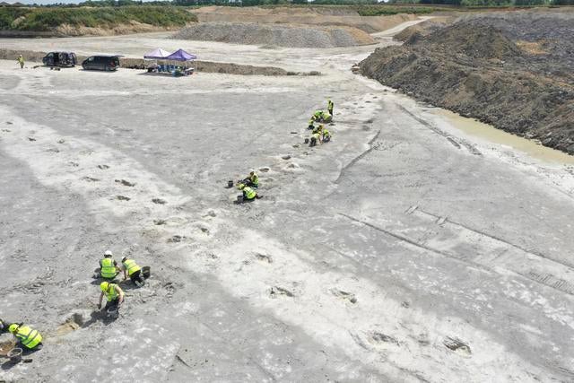 Biggest dinosaur footprint site in the U.K. discovered by researchers: "So surreal" - CBS News