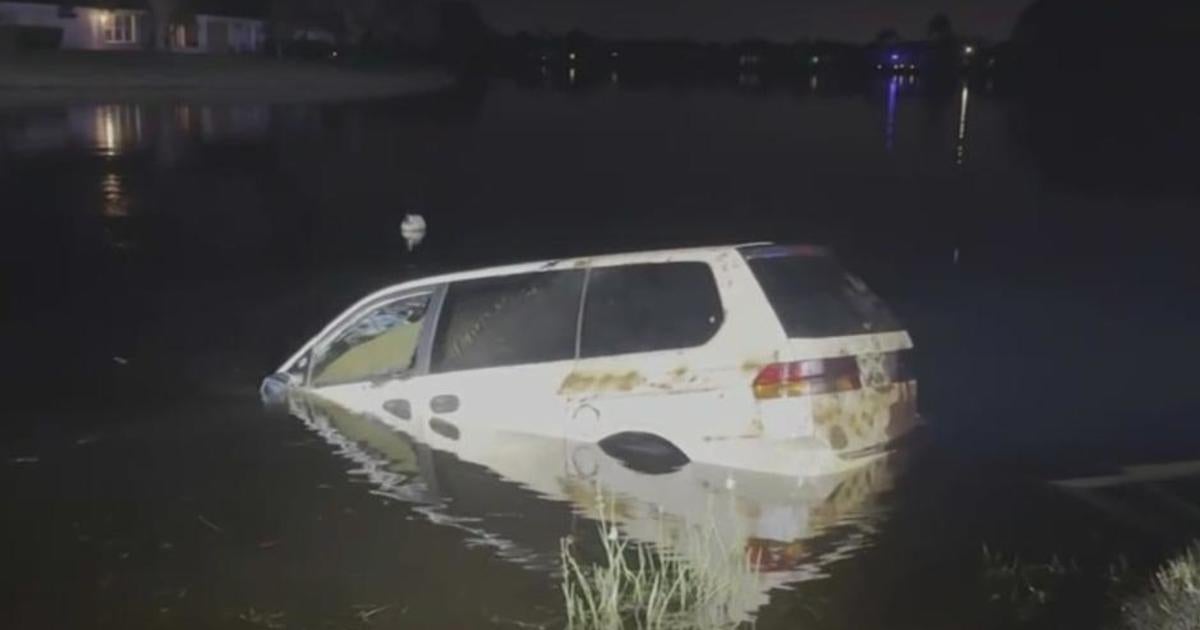 Remains of woman who went missing a decade ago found in Florida pond