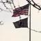 Nassau County flags not lowered to half-staff following Jimmy Carter's death