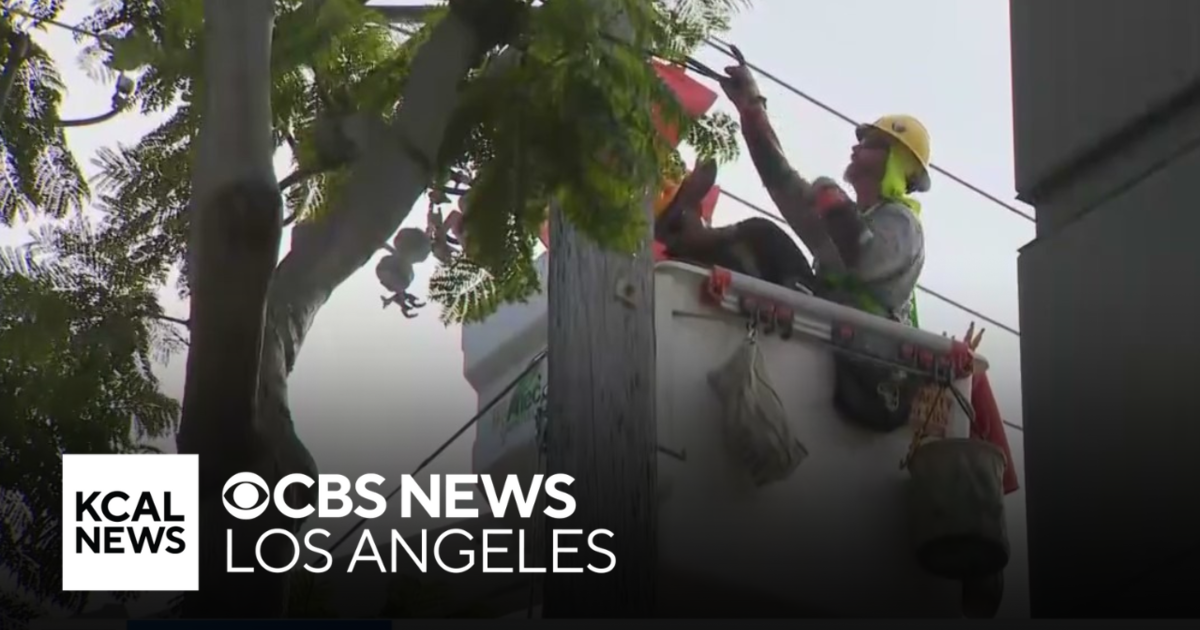 More than 2,000 West LA residents experience outage after balloons hit