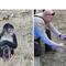 Deputies responding to "bananas situation" find monkey in a pink tutu