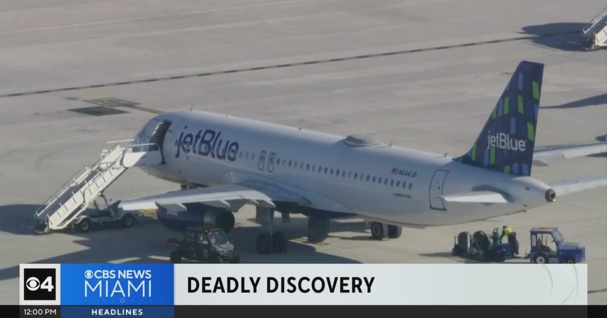 Bodies found in JetBlue plane landing gear yet to be identified Bodies found in JetBlue plane landing gear yet to be identified