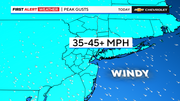 Wind gust map showing high wind speeds