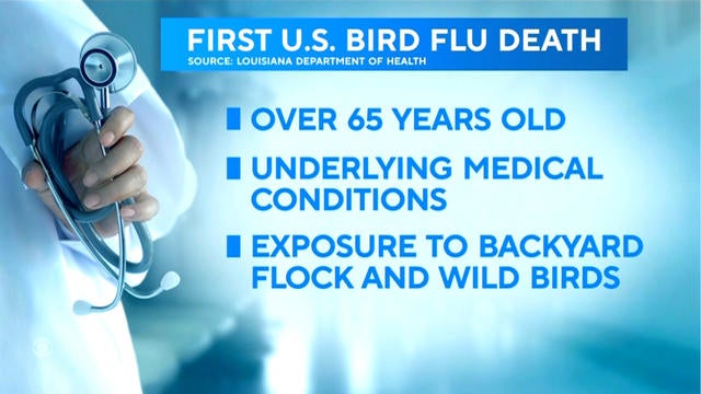 0106-en-birdflu.jpg 