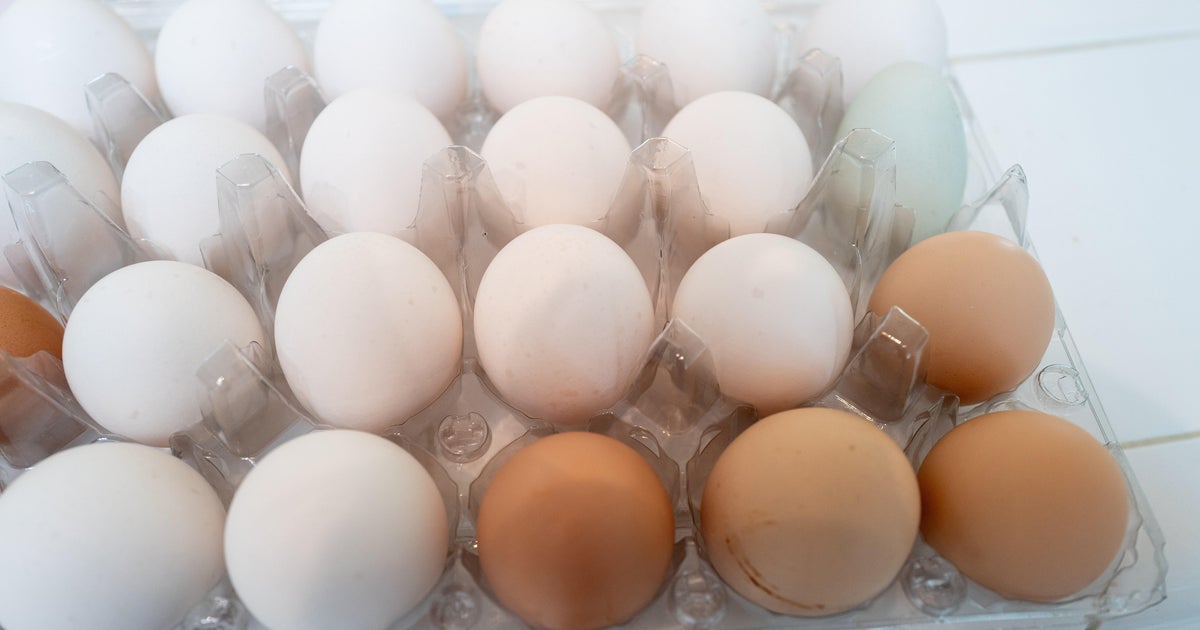 Scrambling for eggs? South Florida farmers offer fresh alternatives amid nationwide shortages Scrambling for eggs? South Florida farmers offer fresh alternatives amid nationwide shortages