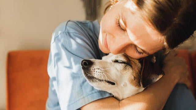 Cute young woman playing and hugging her jack russell terrier dog. 