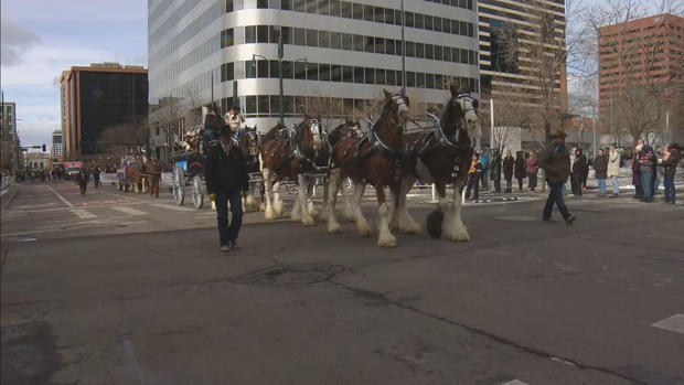 stockade-parade-lu21-frame-1268910.jpg 