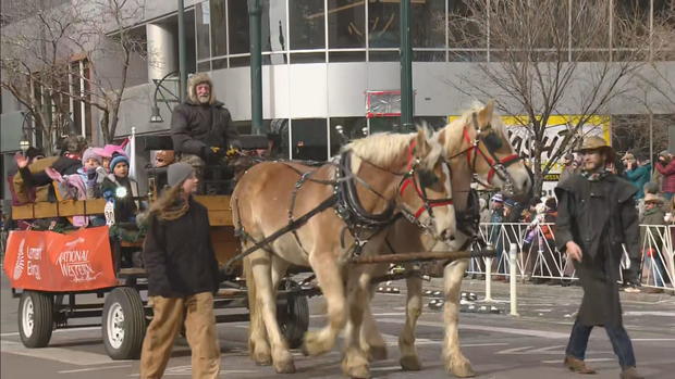 stockade-parade-lu21-frame-2372715.jpg 