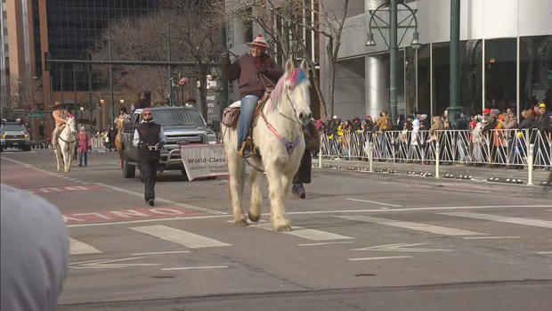 stockade-parade-lu21-frame-2952017.jpg 