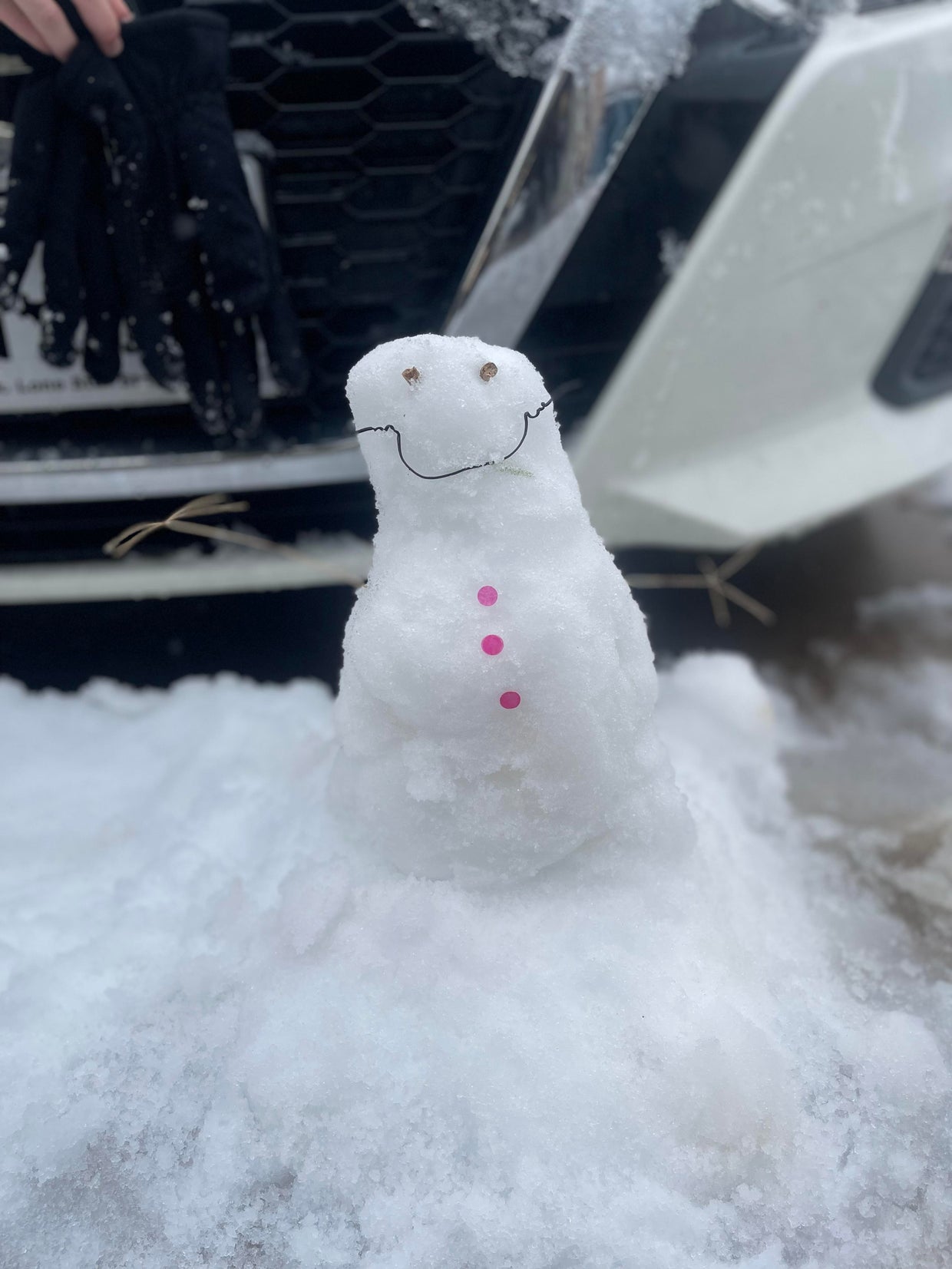 snow-day-in-north-texas-22.jpg 