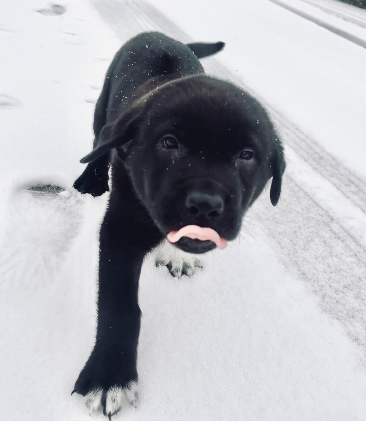 snow-day-in-north-texas-101.jpg 