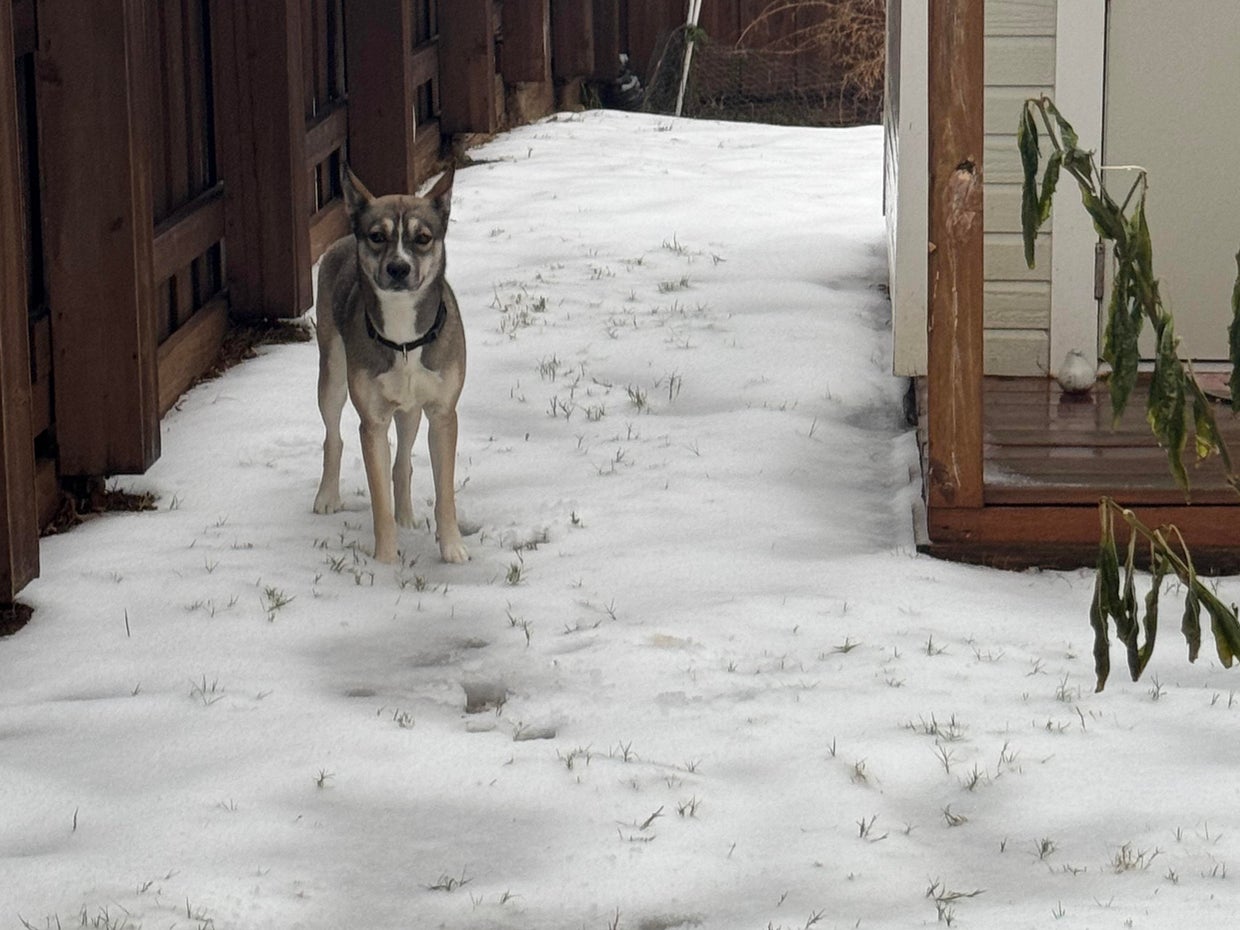 snow-day-in-north-texas-110.jpg 