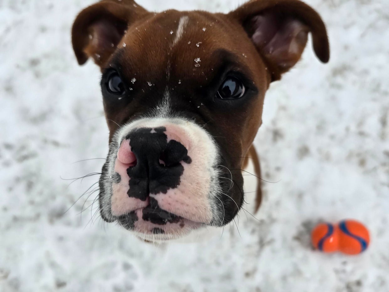 snow-day-in-north-texas-4.jpg 