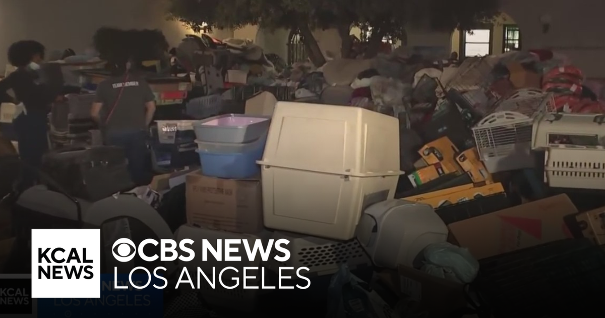 Pasadena Humane Center inundated with donations to help family pets affected by wildfires - CBS Los Angeles