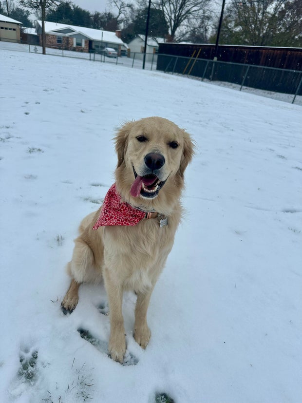 snow-day-in-north-texas-85.jpg