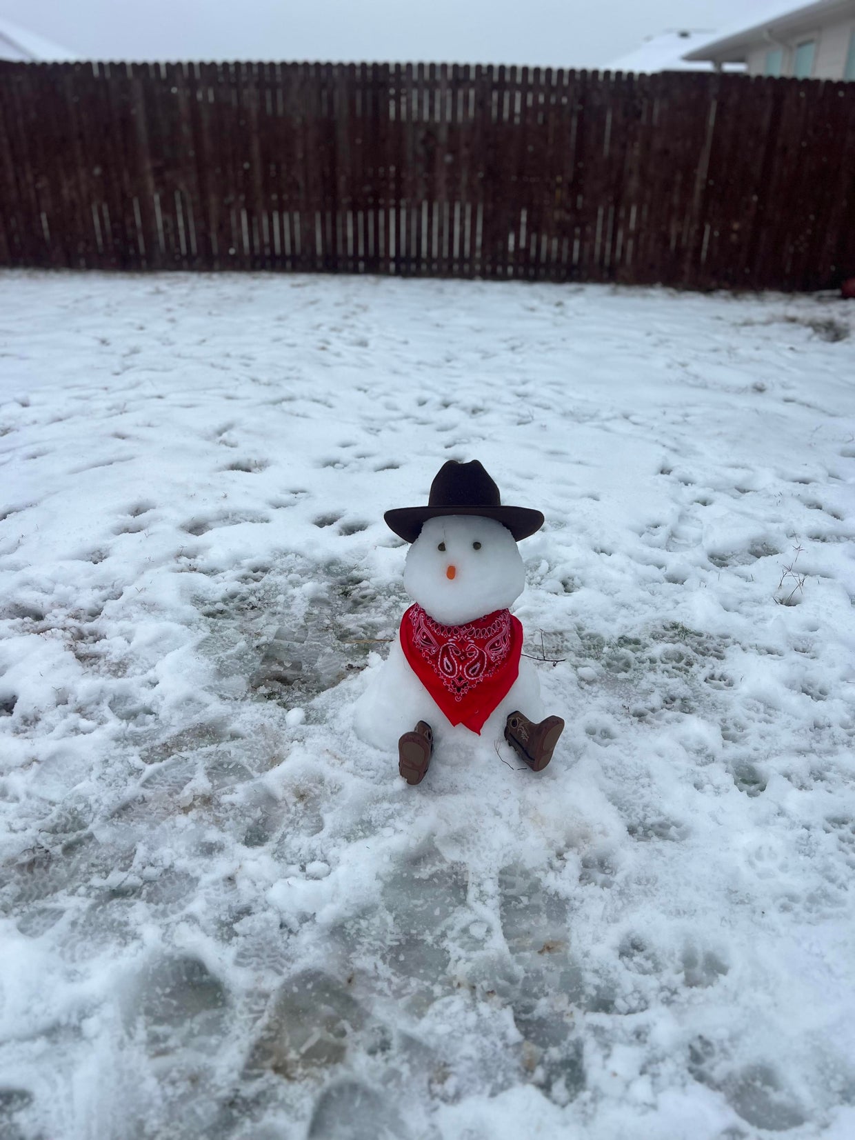 snow-day-in-north-texas-42.jpg 
