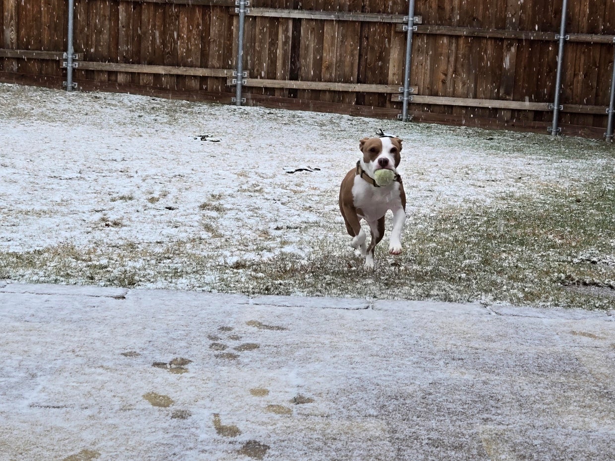 snow-day-in-north-texas-38.jpg 