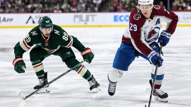 Avalanche Wild Hockey 