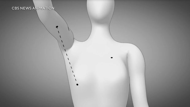 spivey-animation.jpg