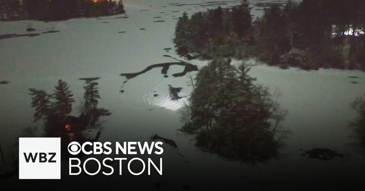 The woman may have fallen through the ice into the New Hampshire pond, police say