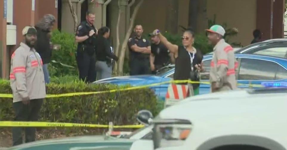 Off-duty Lauderhill officer shoots, kills 2 dogs - CBS Miami