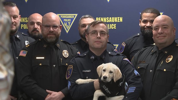 4pm-hughes-pac-pennsauken-police-new-k9-1-14-frame-1937.jpg