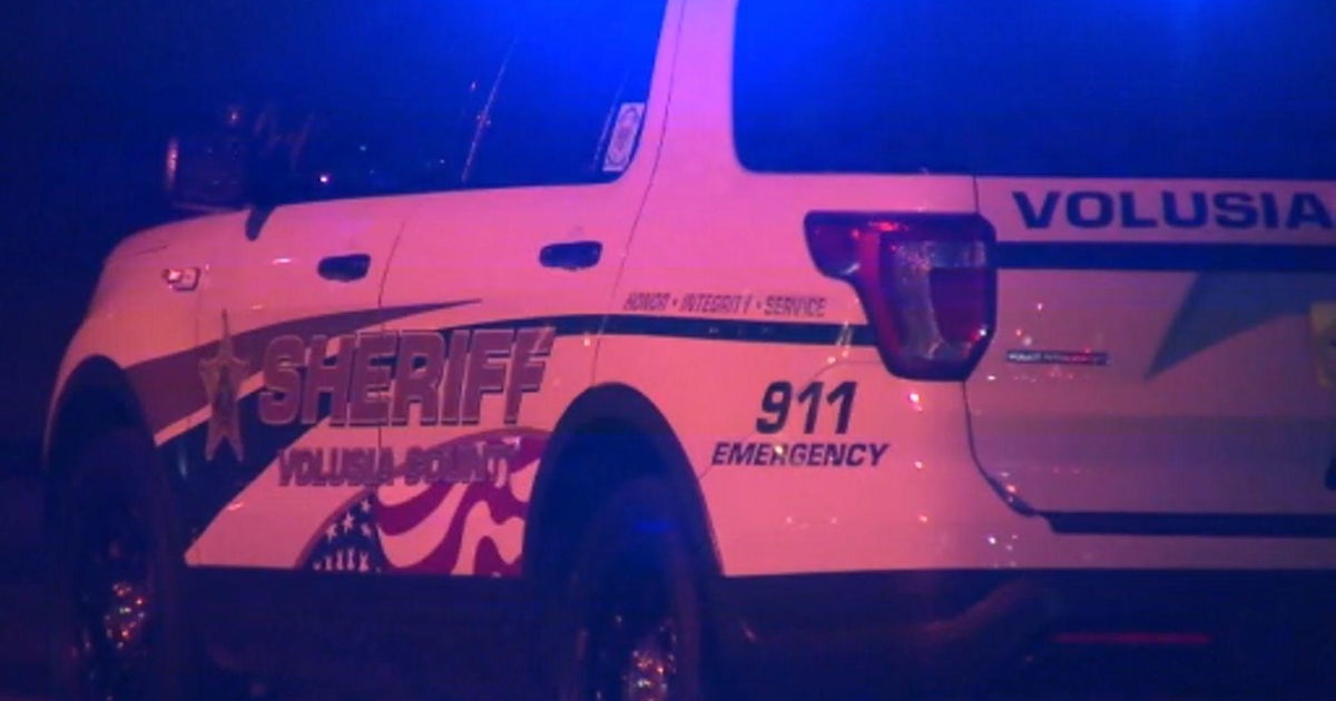 Florida boy dies after being attacked by 2 loose dogs Florida boy dies after being attacked by 2 loose dogs