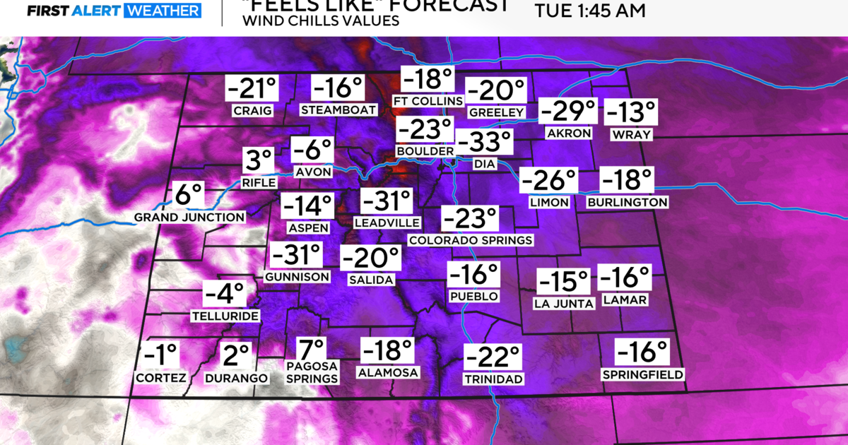 Extreme Cold Impacts Denver MLK Marade