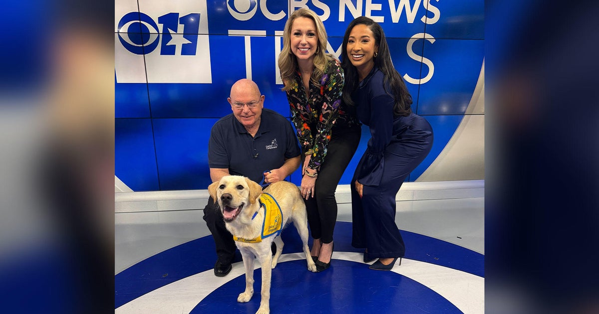 Lonestar’s journey to becoming a service dog continues with professional training Lonestar’s journey to becoming a service dog continues with professional training