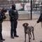 Inside the security for Trump's second inauguration