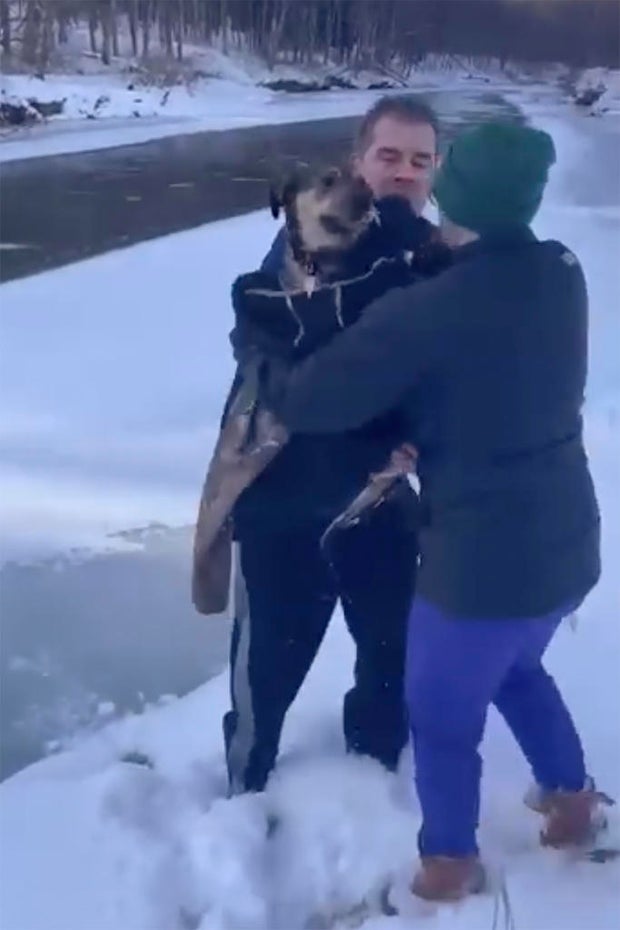 dog rescue vermont