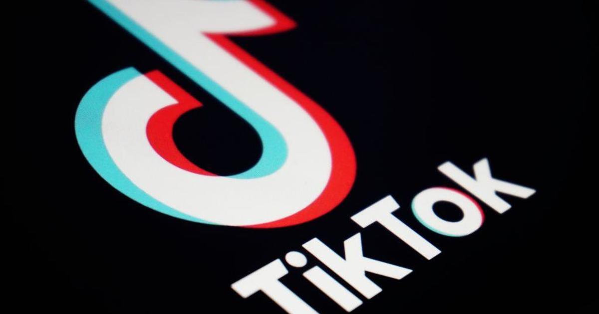 TikTok voluntarily shuts down service within the U.S. with divest-or-ban regulation set to take impact