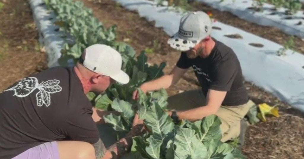 South Florida chef takes passion for food further with organic farm South Florida chef takes passion for food further with organic farm