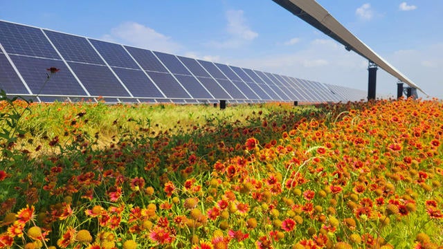 Accelerating Renewable Energy: A Path to Decarbonization and Sustainable Growth