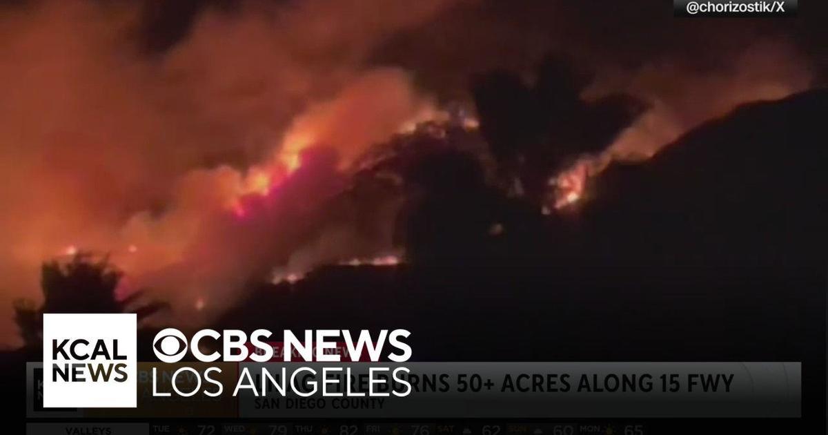 Lilac Fire in San Diego County Burns 80 Acres, Displaces Residents