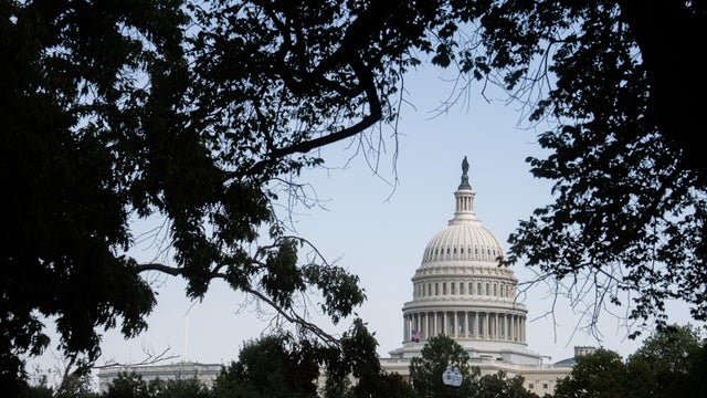 U.S. Capitol Dome