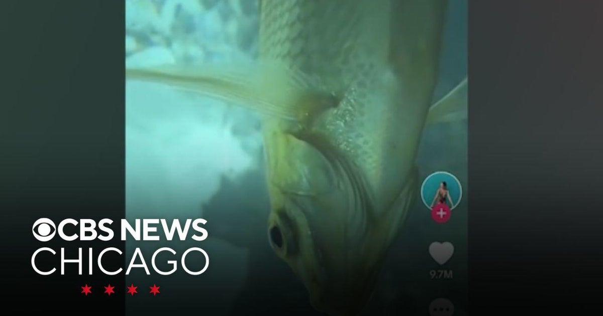 iPhone lost in ocean keeps recording, captures underwater sights - CBS ...