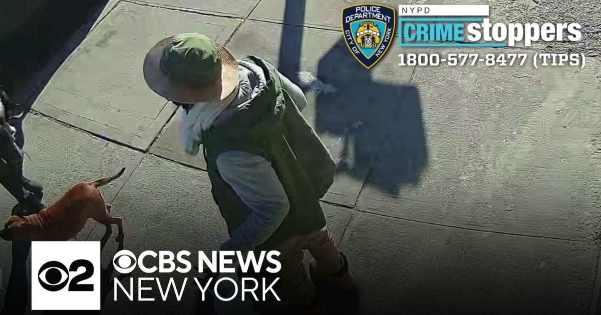 Man loses 4 fingers in machete attack in the Bronx - CBS New York