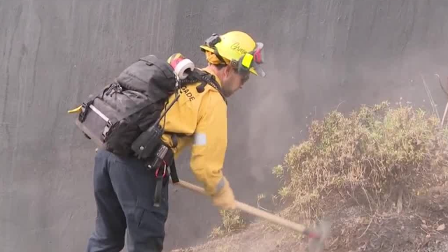 lafd-community-brigade.png 