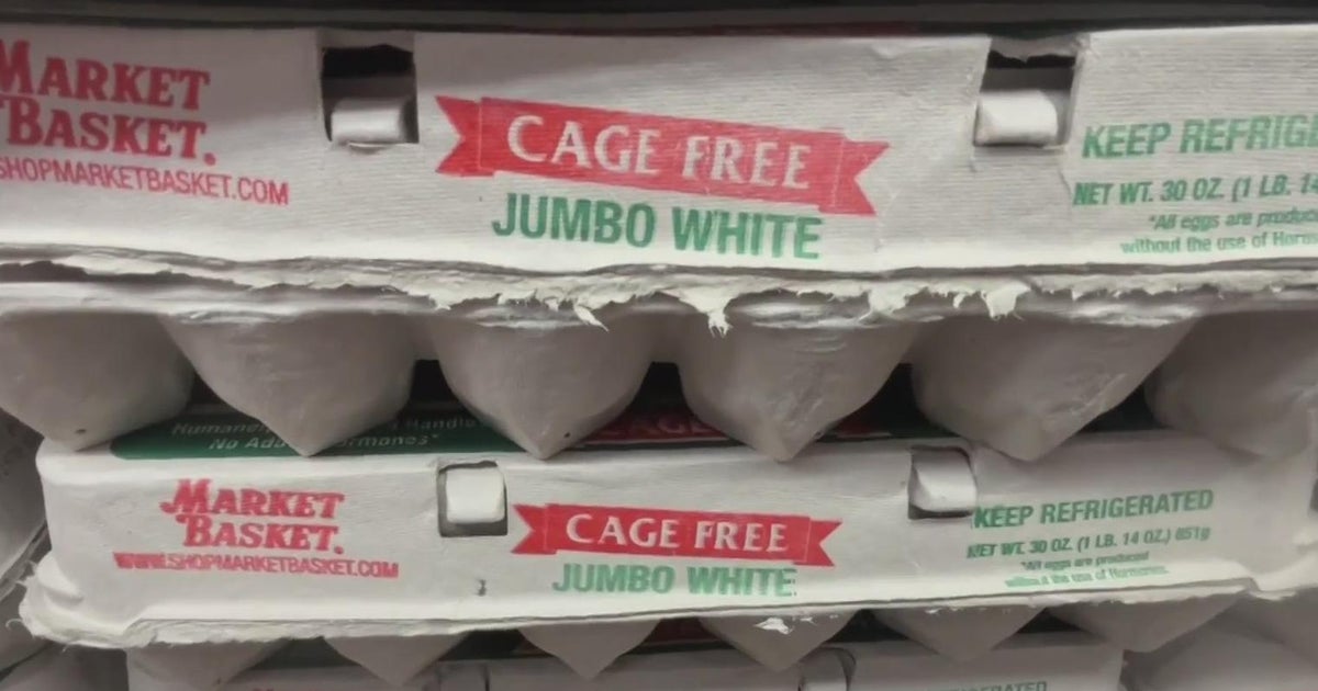Michigan, Colorado Eye Repeal of Cage-Free Egg Laws