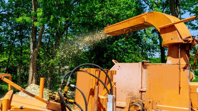 Wood chipper blowing tree branches cut A tree chipper or wood chipper is a portable machine used for reducing wood into smaller wood chips. 