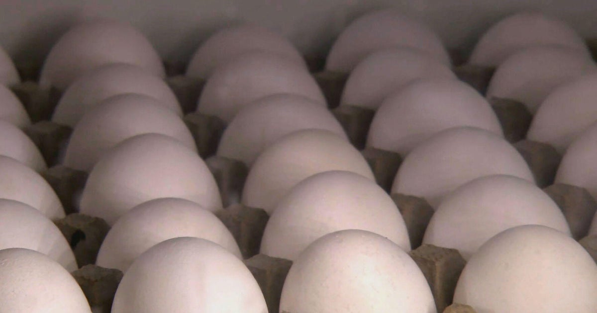 Americans are wearing an increase in egg prices