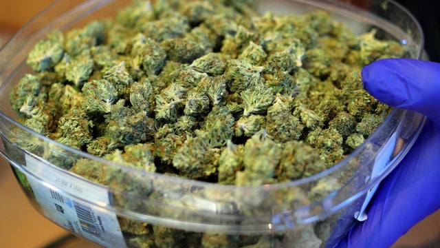 Opening Of Greater Boston's First Recreational Marijuana Shop 