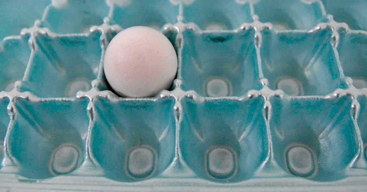 With egg prices rising and shortages in stores, these egg substitutes can help in the kitchen