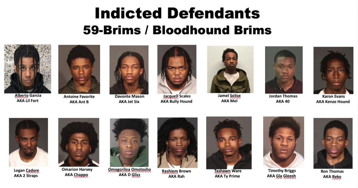 14 alleged members of 59 Brims and Bloodhound Brims gangs arrested ...