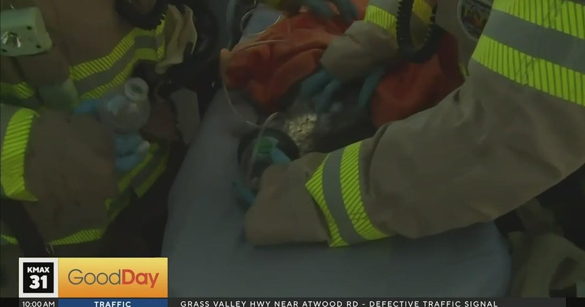 1 person injured, 2 cats rescued in Orangevale house fire