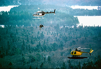 Michigan moose population research 