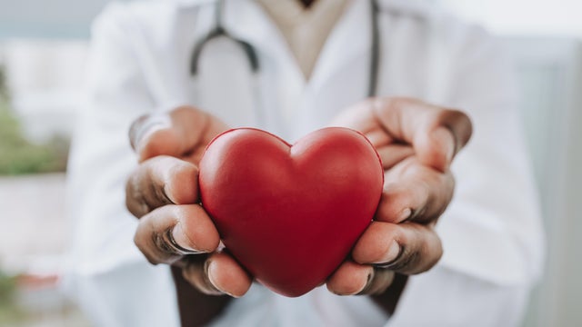 Portrait of a doctor holding a heart in his hands 